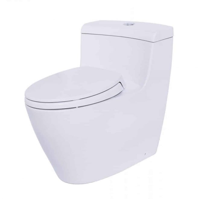 Bồn cầu 1 khối Toto MS636DT2