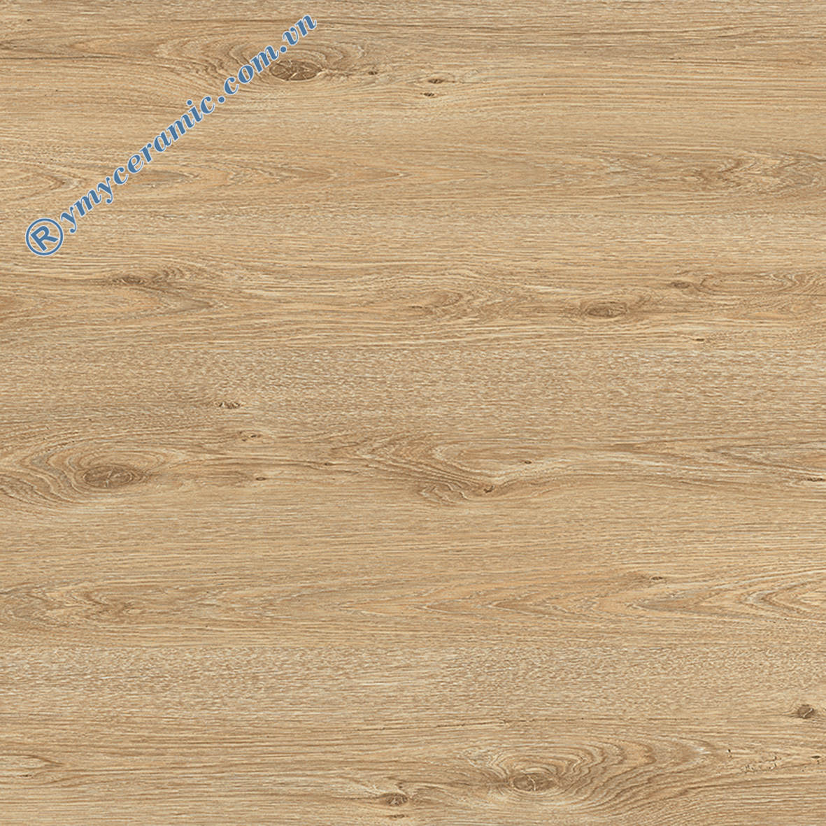 Gạch lát nền giả gỗ Ý Mỹ 60x60 EF69003