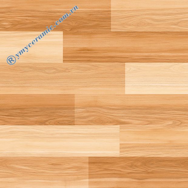 Gạch lát nền giả gỗ Ý Mỹ 60x60 EN69006