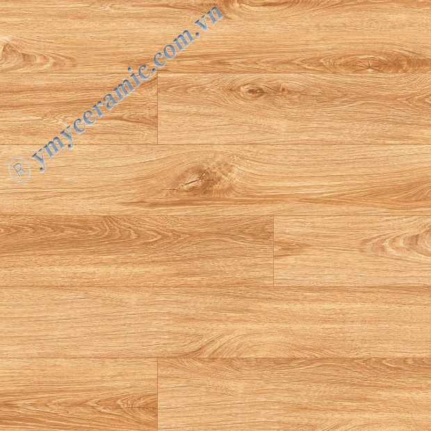 Gạch lát nền giả gỗ Ý Mỹ 60x60 EP69003