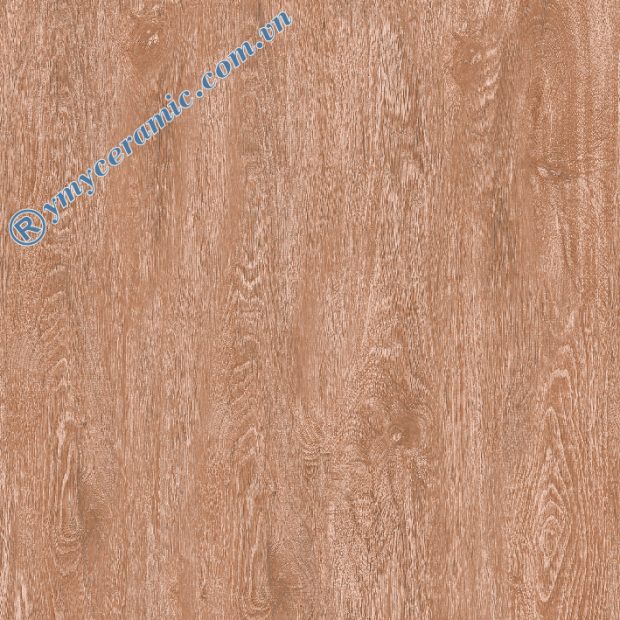 Gạch lát nền giả gỗ Ý Mỹ 60x60 F6011