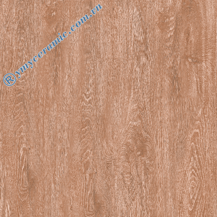 Gạch lát nền giả gỗ Ý Mỹ 60x60 F6011