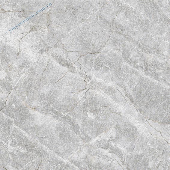 Gạch lát nền giả đá Ý Mỹ 60x60 N65001C