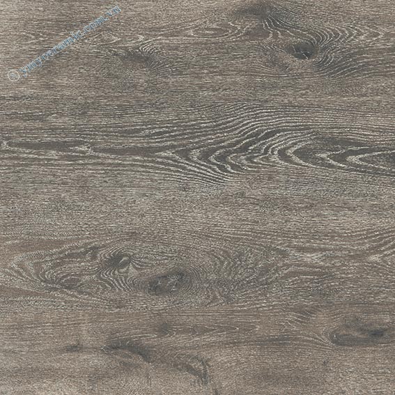 Gạch lát nền giả gỗ Ý Mỹ 60x60 P65014C