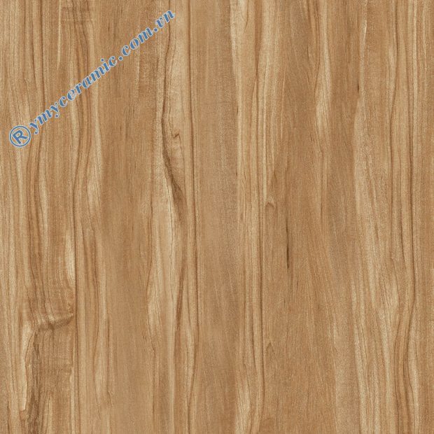 Gạch lát nền giả gỗ Ý Mỹ 60x60 Y6030