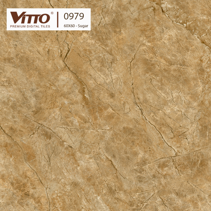 Gạch lát nền giả đá Vitto 60x60 0979