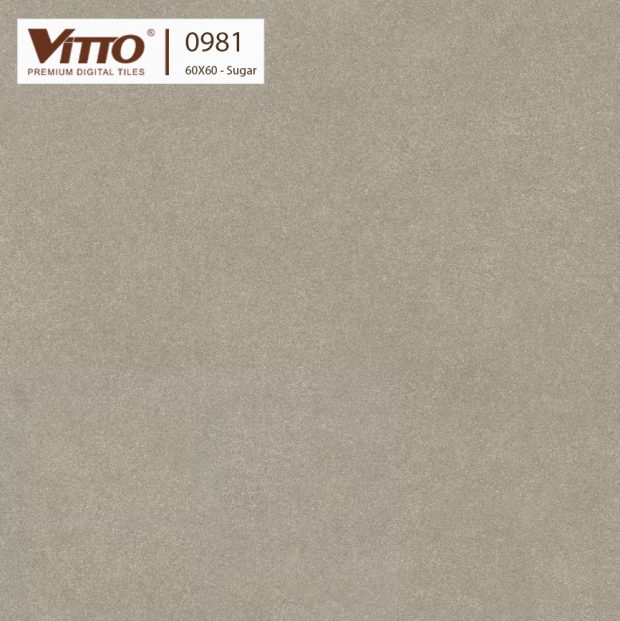 Gạch lát nền Vitto 60x60 0981