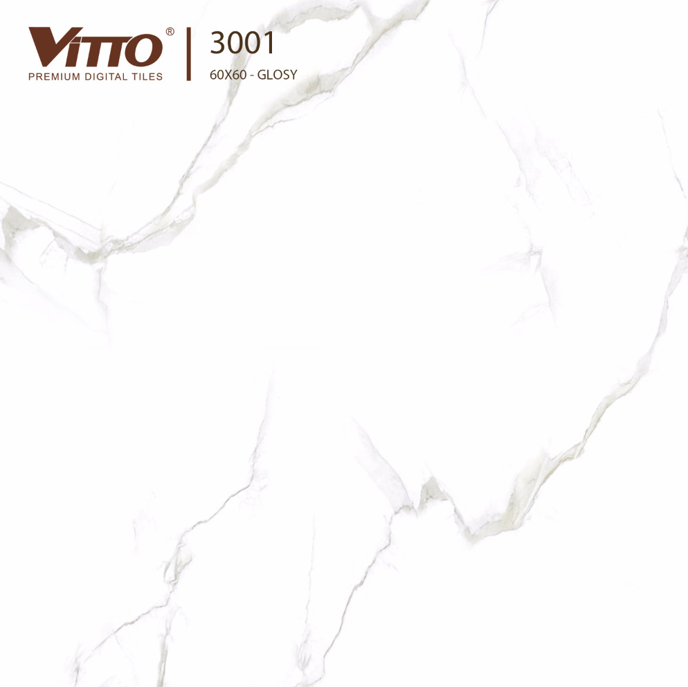 Gạch lát nền giả đá Vitto 60x60 3001