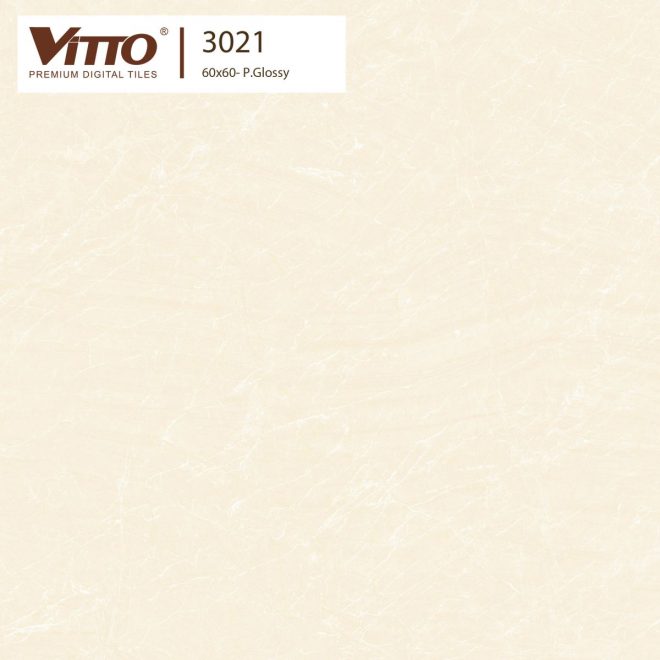 Gạch lát nền Vitto 60x60 3021