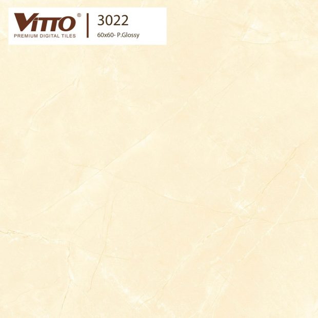 Gạch lát nền Vitto 60x60 3022