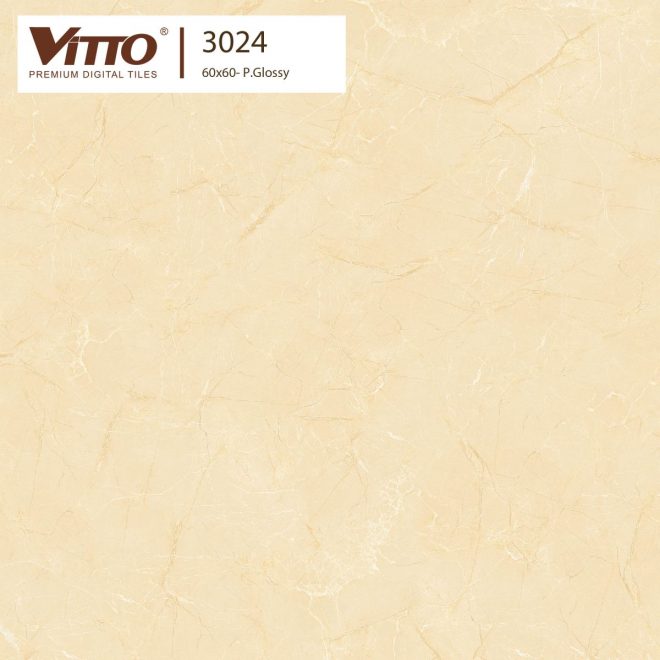 Gạch lát nền Vitto 60x60 3024