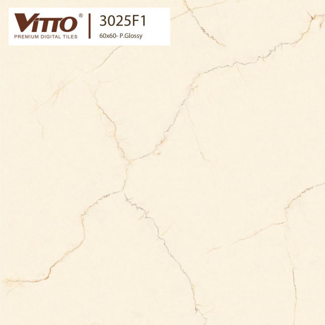 Gạch lát nền giả đá Vitto 60x60 3025