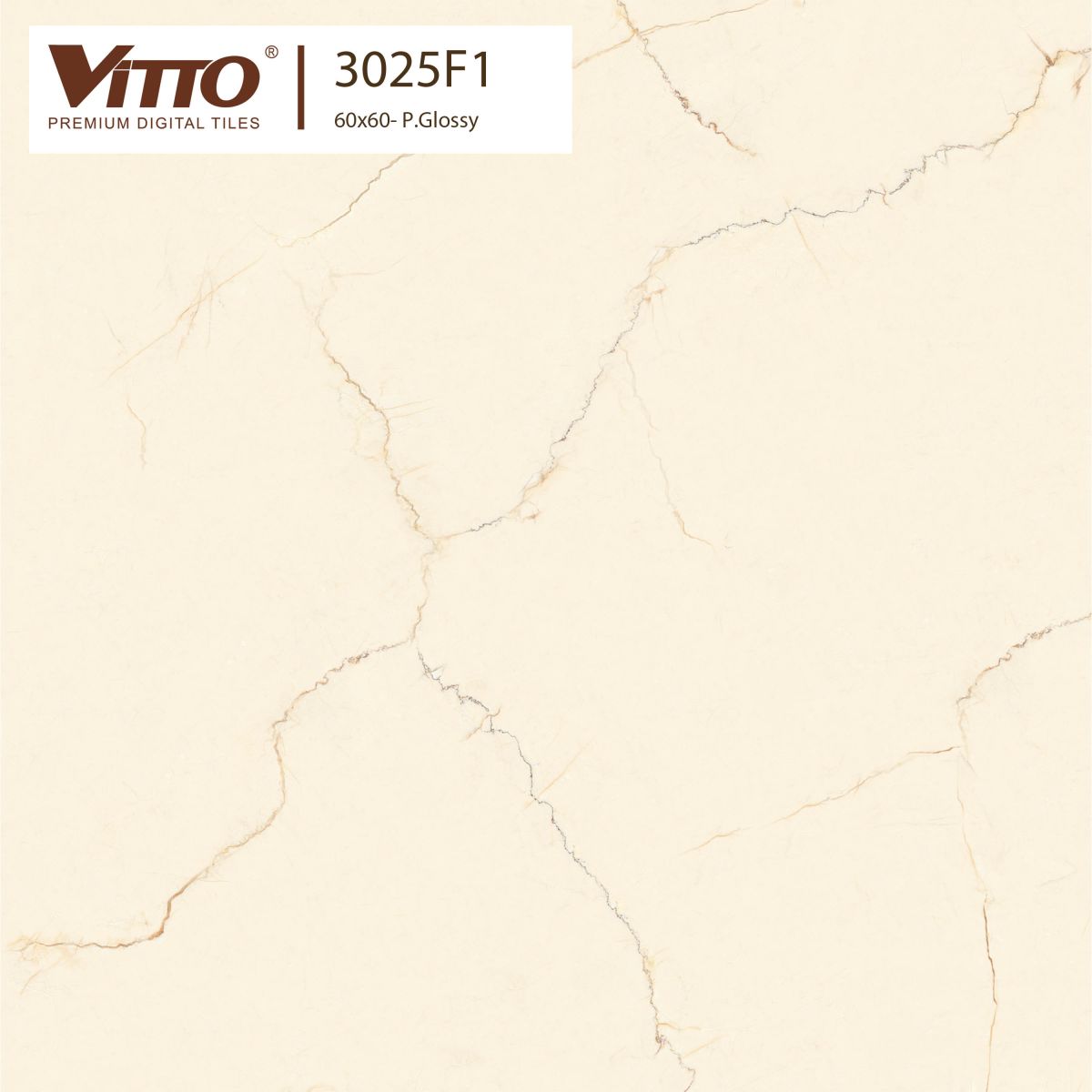 Gạch lát nền giả đá Vitto 60x60 3025
