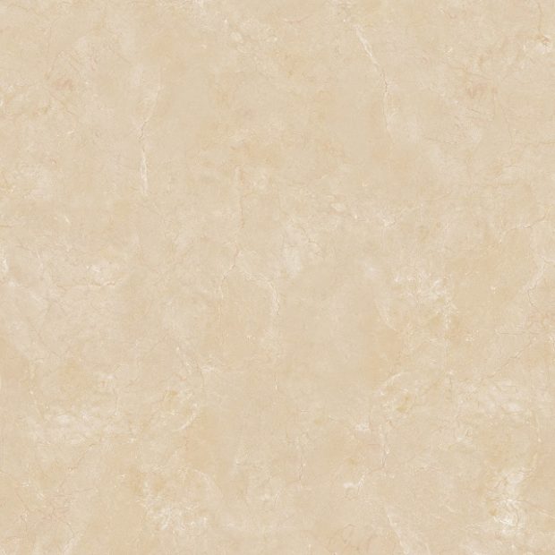 Gạch lát nền Viglacera 60x60 B6005