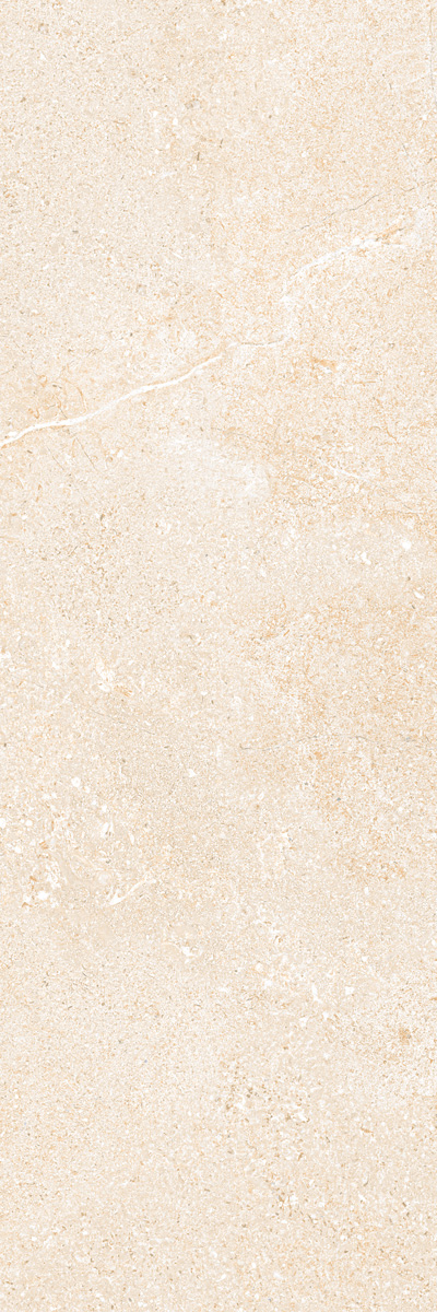 Gạch ốp lát Eurotile 30x90 NGC D04