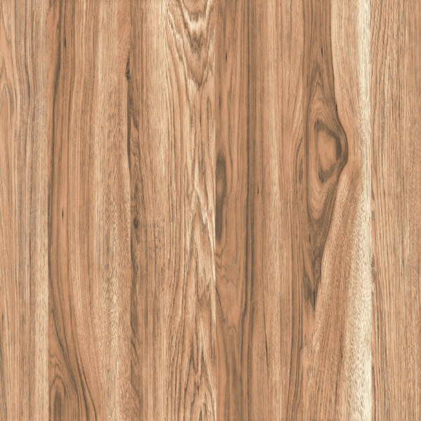 Gạch lát nền giả gỗ Ý Mỹ 60x60 Y6008